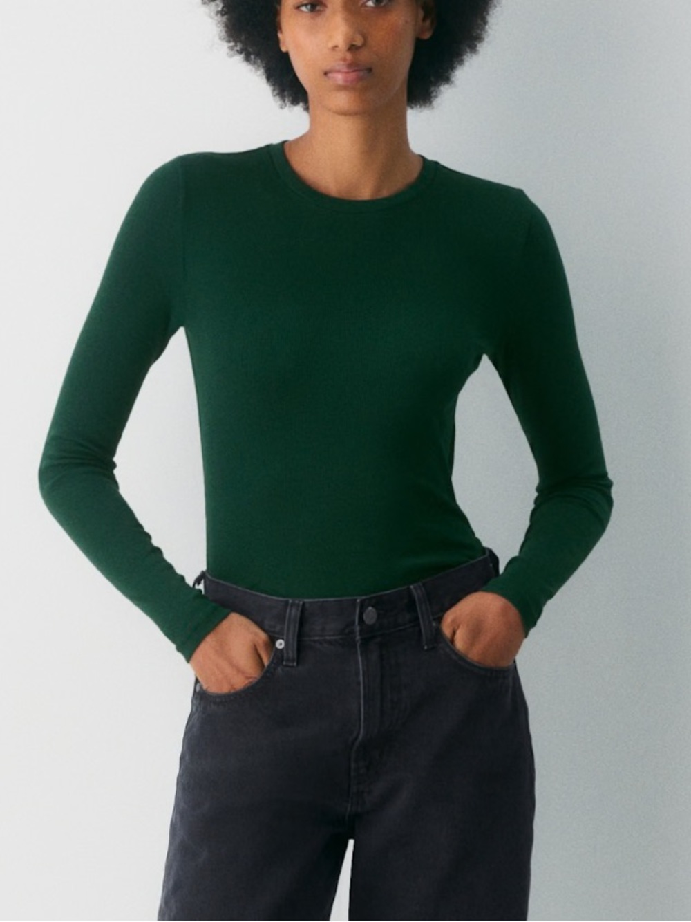 Aritzia Homestretch Rib Solo Longsleeve Scarab